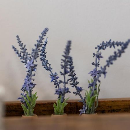 Graca Garden Torres Vedras Ξενοδοχείο Εξωτερικό φωτογραφία